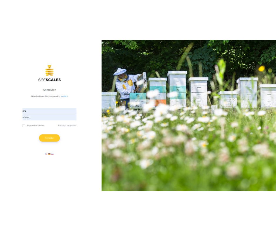 Web Portal for Beehive Scales